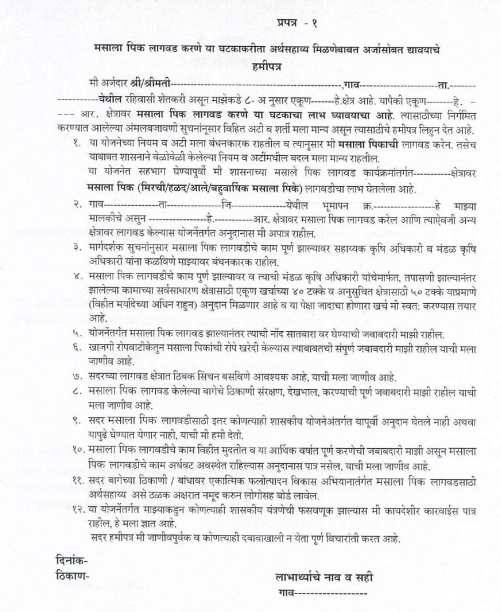 masala pike hamipatra