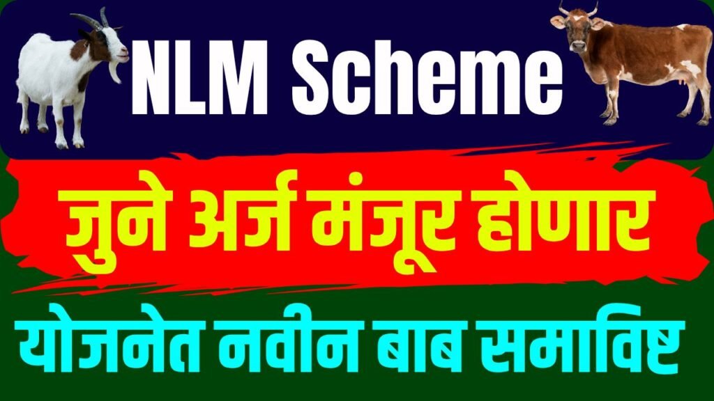NLM Scheme